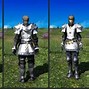 Image result for FFXIV Paladin Artifact Gear