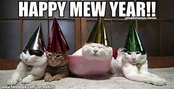 Image result for Business Cat Meme New Year's