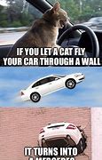 Image result for cats cars memes templates