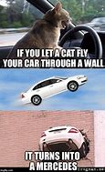 Image result for Cat Car Meme