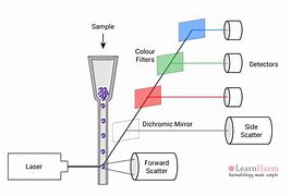 Image result for Flow Cytometry