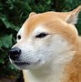 Image result for Doge Body Roblox