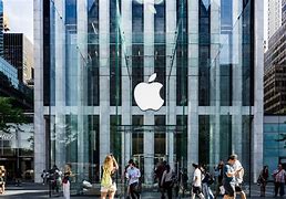 Image result for Apple Company Panflit