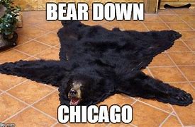 Image result for Funny 2019 Chicago Bears Memes