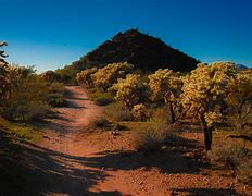 Image result for Arizona Desert Scenes