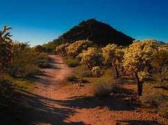 Image result for Arizona Desert Sunset Wallpapers for Desktop