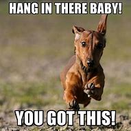Image result for Hang in There You Got This Meme