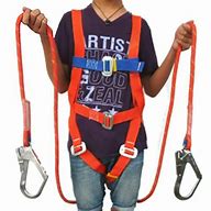 Image result for Body Harness Double Hook