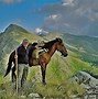 Image result for Ancient Horse Breeds