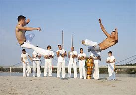 Image result for Brazilian Martial Arts Capoeira