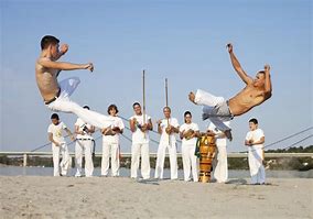 Image result for Capoeira Techniques