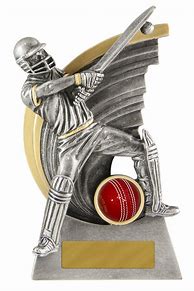 Image result for Cricket Trophies for Local