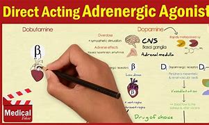 Image result for Beta 2 Adrenergic Agonist Drugs