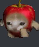 Image result for Cat Emote Meme