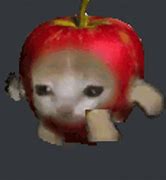 Image result for Sad Cat Apple Meme