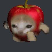 Image result for Sad Apple Cat