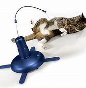 Image result for Battery Operated Cat Toys for Indoor Cats