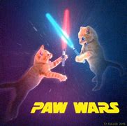 Image result for Funny Star Wars Cat Memes