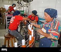 Image result for Marie Sharp Factory