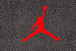 Image result for Jordan Brand Classic Logo