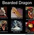 Image result for Early Internet Meme Dragon