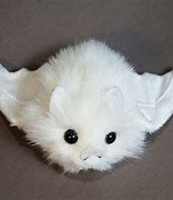 Image result for Fluffy Bat Albino