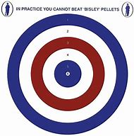 Image result for Bisley Air Rifle Targets