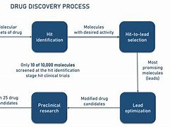 Image result for Drug Discovery Process