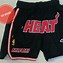 Image result for NBA Jersey Shorts