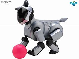 Image result for Sony Aibo in Park