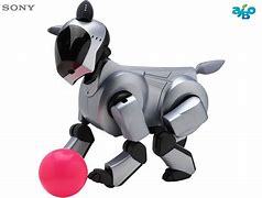 Image result for Aibo 210