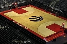 Image result for Raptors NBA Court