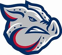 Image result for Lehigh Valley IronPigs