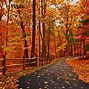 Image result for Wallpaper On PC 4K Autumn