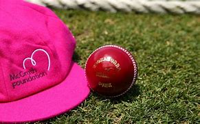 Image result for Cricket Heat Transfer On Ball