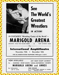 Image result for Chicago Wrestling History Book