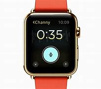 Image result for Apple Watch Carabiner Case