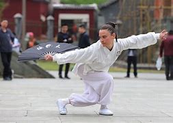 Image result for China Martial Arts