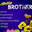 Image result for Happy Birthday Brother Meme