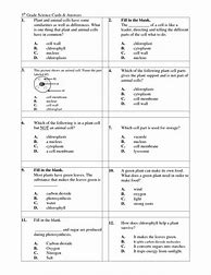 Image result for Activities to Do with 5th Grade for Species Concepts