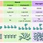 Image result for DNA vs RNA Differences
