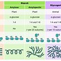 Image result for Comparison of DNA and RNA Table