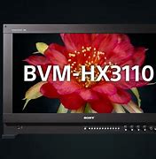 Image result for Sony BVM Monitor