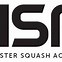 Image result for Squash Sport Court