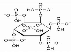 Image result for Inositol Hexaphosphate Structure
