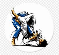 Image result for Brazilian Jiu Jitsu Art