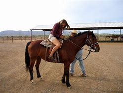 Image result for Horse Handicapping