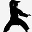 Image result for Martial Arts Characters