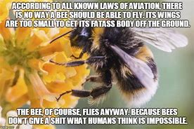 Image result for Bee per Messages Meme