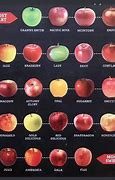 Image result for Apple Varieties Similar to Honeycrisp